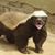 Jerry Mutal's profile image