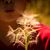 Wendy McAnelly's profile image