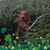 Patti Curry Bauduin's profile image