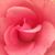 Jaye Ann McDonald's profile image