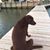 Rick Taylor's profile image