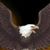 Christopher Clendenin's profile image
