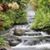 Deborah Berryman's profile image