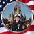 Michael Viola's profile image