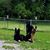 Renee Kouder's profile image