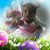 Juanita Coley's profile image