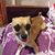 Rosario Tobar Gonzalez's profile image