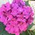 Stacey Wishart's profile image