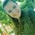NatalieMarshall's profile image