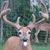 Brian Shaffer's profile image