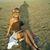 Sarah Gomez's profile image