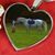Tara Spera Sinclair's profile image