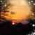 Marylou Corbett's profile image