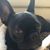 Branca Besitos's profile image