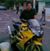 Antonio Lonbardi's profile image