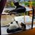 Noleen Darroch's profile image