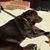 Bill Antczak's profile image