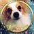 Nina Rash's profile image