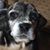 Dora S Harris's profile image