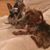 Melanie Garrison Horner's profile image