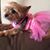 Erlinda Garcia Nieva's profile image