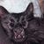 Steven E Underhill's profile image