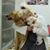 Teresa A Garcia's profile image