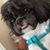 Kristin Tallarigo's profile image