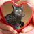 Barbara A. Edson-Greenwald's profile image