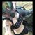 Allie Shipp's profile image