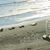 Tonia Hendricks Whalen's profile image