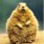 John Truempy's profile image