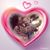 Belinda Daniels's profile image