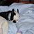 Judy Clark's profile image