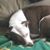 Linda Winn's profile image