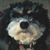 Carol Pryce-Jones's profile image