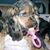 Donna Hartman's profile image