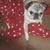 Shelli Caldwell's profile image