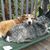 Timothy Goeller's profile image
