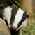 Jon Connolly's profile image