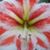 Maria Lunger's profile image