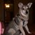 Nora Breaux's profile image
