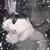 Leah S. Rexford's profile image