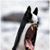 Rocky Strickler's profile image