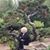 Phuc Nguyen's profile image