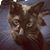 Kristen McElheny's profile image