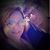 Dana Jewell's profile image