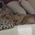 Jeff Susan Brittain's profile image