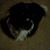 Shelley Block's profile image