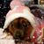Wendy Garcia's profile image